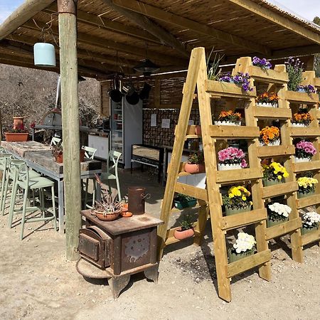 Carmey Avdat Farm Midreshet Ben Gurion المظهر الخارجي الصورة