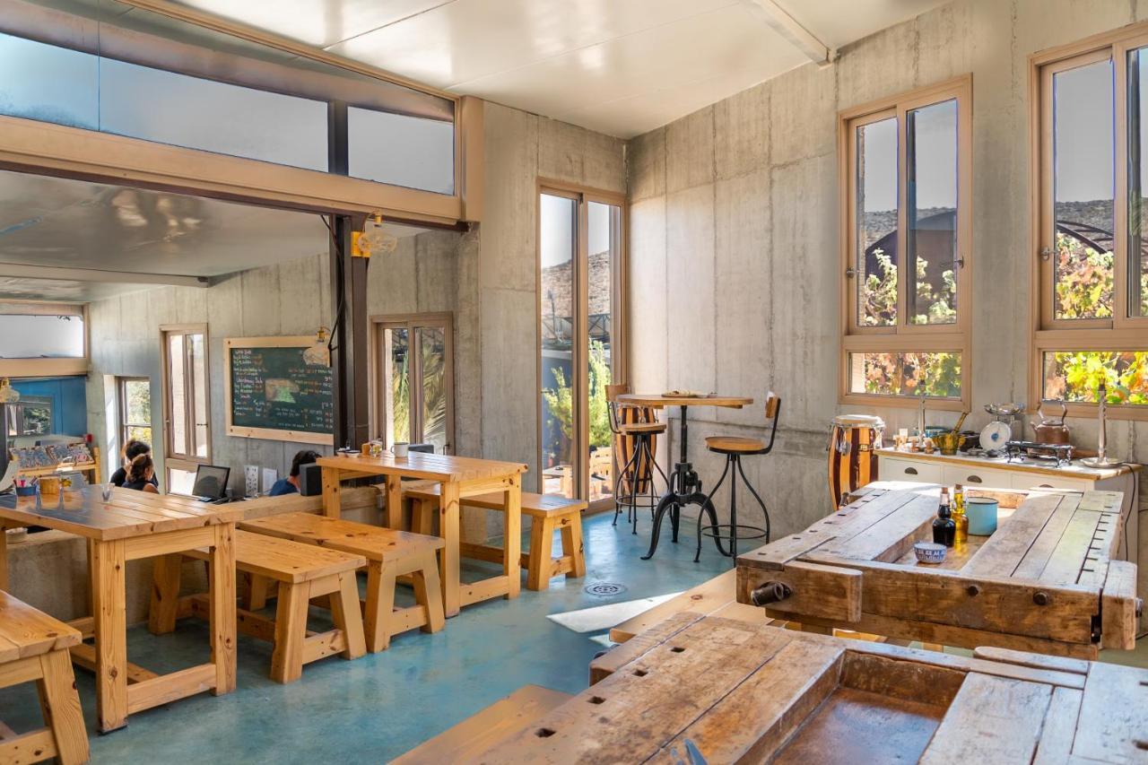 Carmey Avdat Farm Midreshet Ben Gurion المظهر الخارجي الصورة