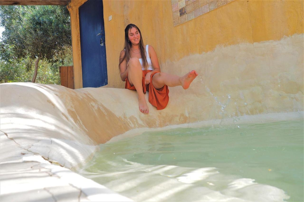 Carmey Avdat Farm Midreshet Ben Gurion المظهر الخارجي الصورة