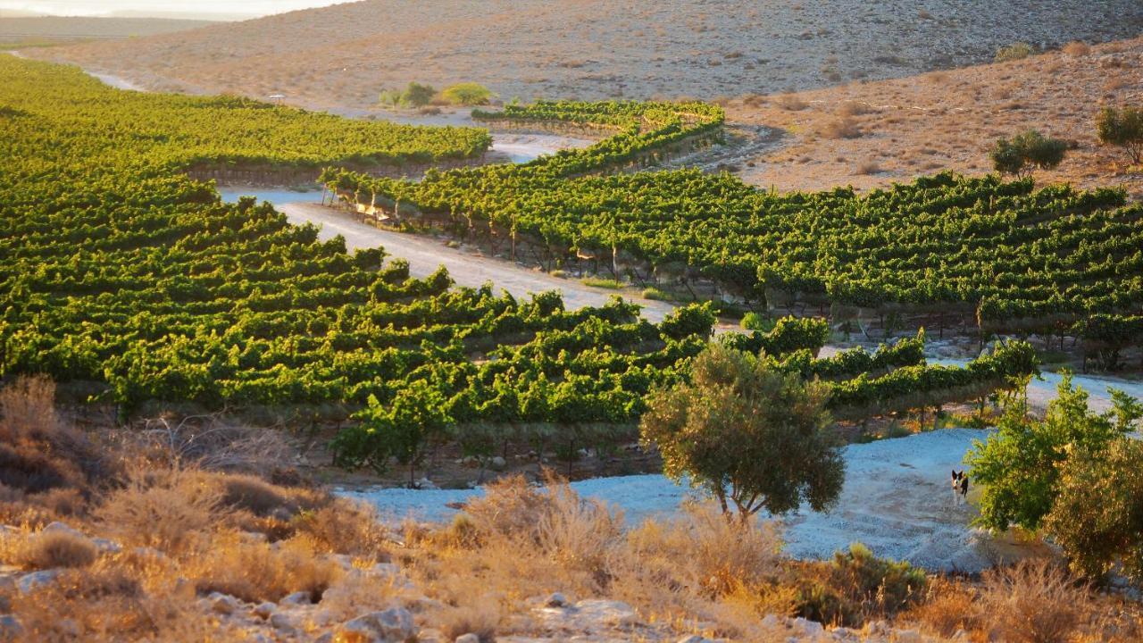 Carmey Avdat Farm Midreshet Ben Gurion المظهر الخارجي الصورة