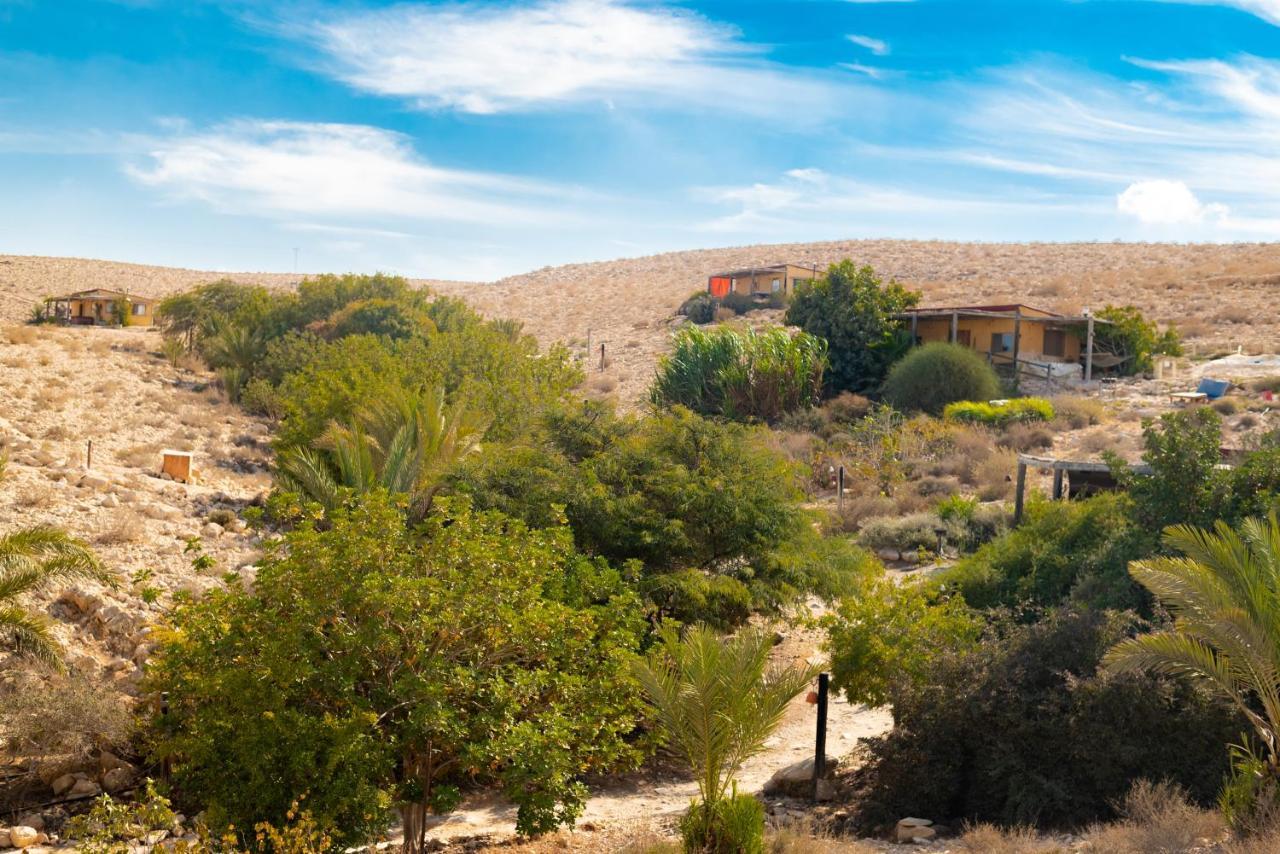 Carmey Avdat Farm Midreshet Ben Gurion المظهر الخارجي الصورة
