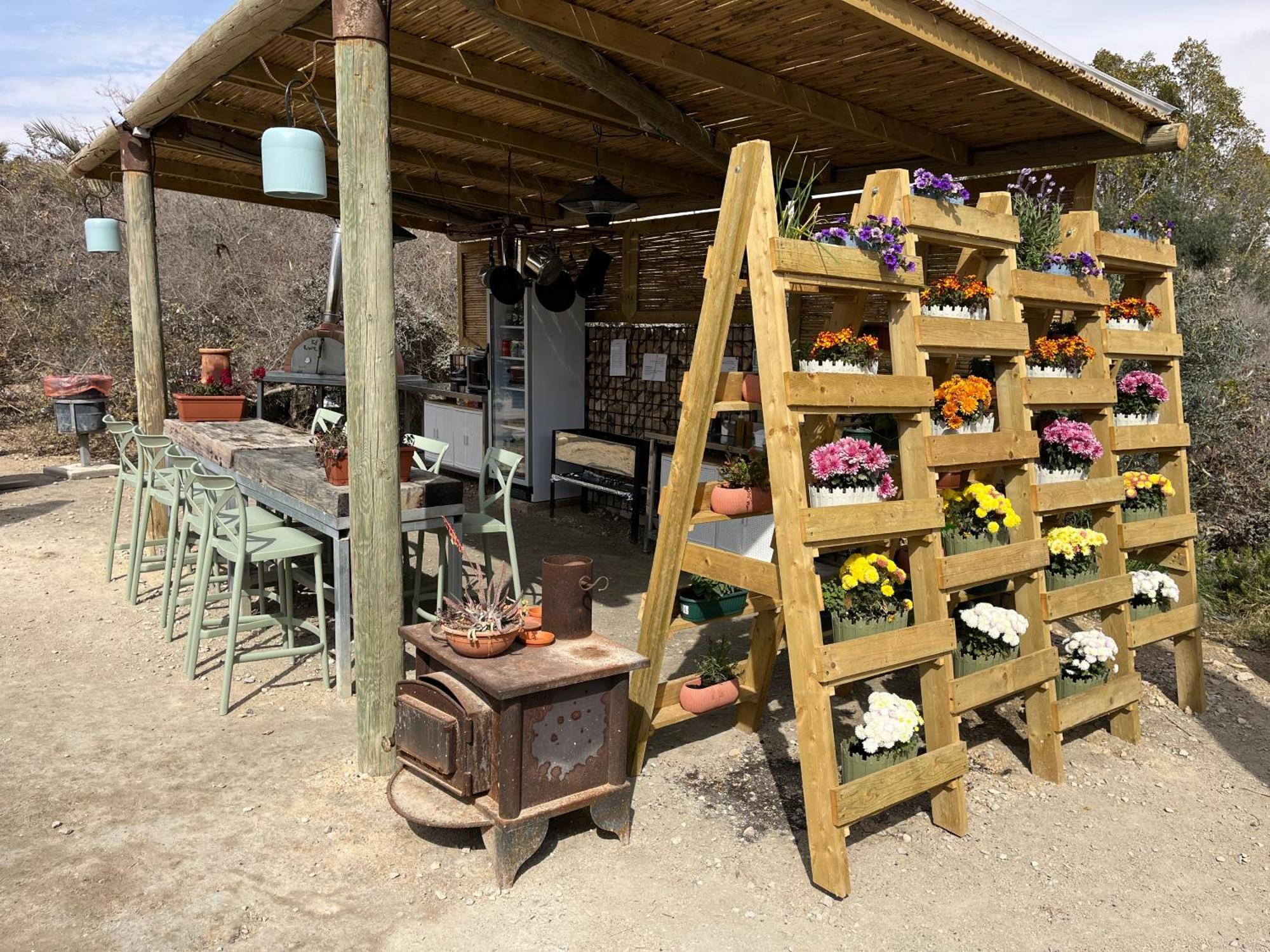Carmey Avdat Farm Midreshet Ben Gurion المظهر الخارجي الصورة