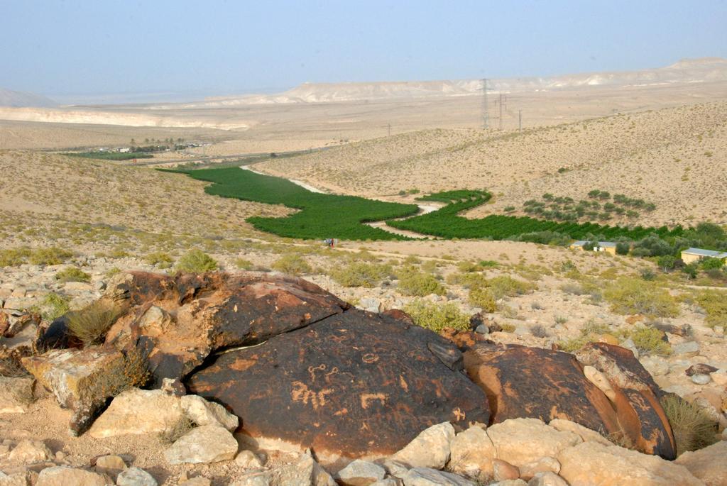 Carmey Avdat Farm Midreshet Ben Gurion المظهر الخارجي الصورة